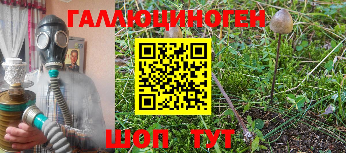 Галлюциногенные грибы Cubensis  Псилоцибиновые грибы MAGIC MUSHROOMS  Изобильный  как найти закладки  Вход с VPN 
